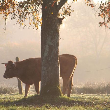 Le Domaine Lieu Bill, Normandie بلونفيل سور مير المظهر الخارجي الصورة