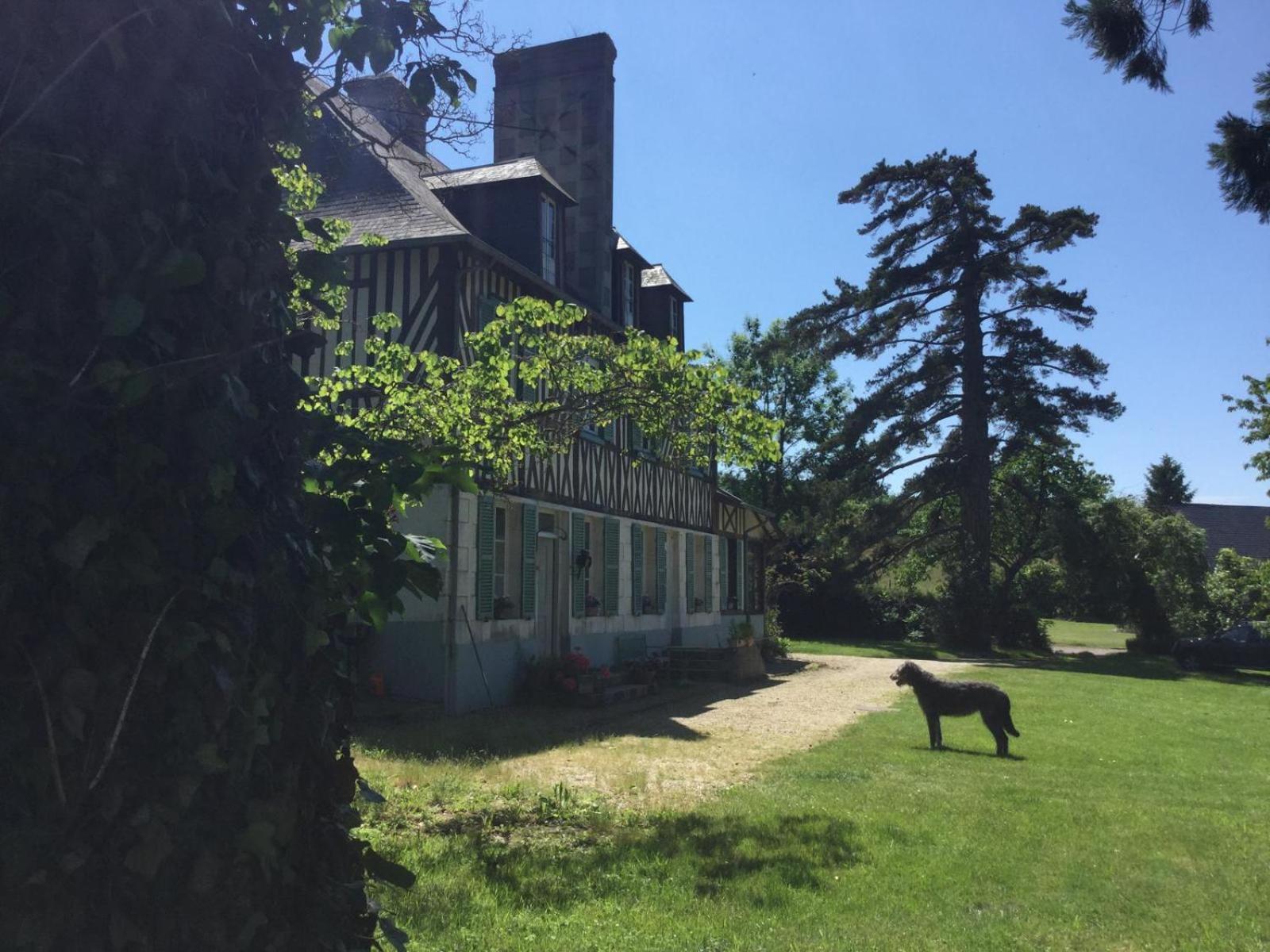 Le Domaine Lieu Bill, Normandie بلونفيل سور مير المظهر الخارجي الصورة