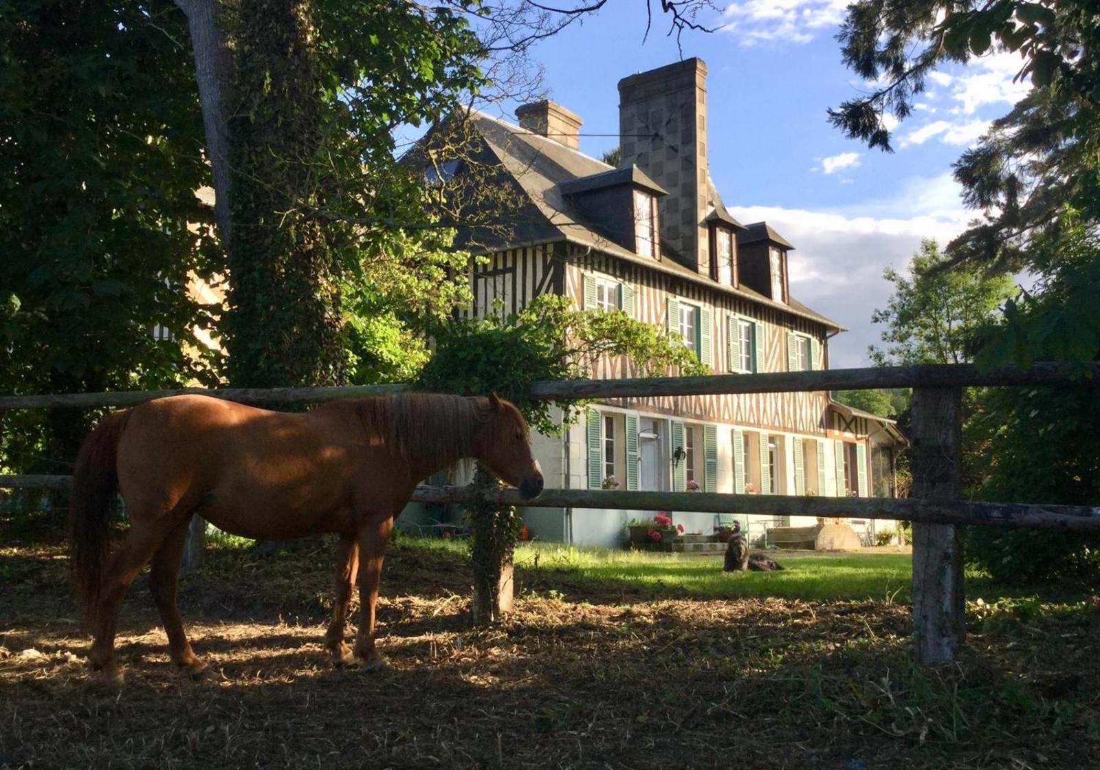 Le Domaine Lieu Bill, Normandie بلونفيل سور مير المظهر الخارجي الصورة